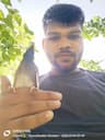 Harsh patwa
