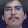 rohit pimoli