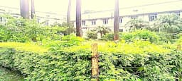 Bihar National College Patna