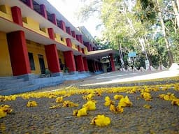 Sree Narayana College Alatur