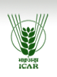 Directorate of Research on Women in Agriculture Bhubaneswar