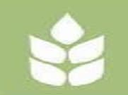 Classic College of Law Bareilly