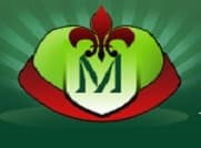 Maharaja Surajmal Teachers Training College