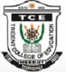 Trident College of Education logo