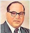 Dr. Bhimrao Ambedkar Mahavidyala logo