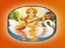 Sri Babu Singh Degree College logo