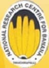 National Research Centre for Banana - [NRCB] logo