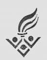 Smt SB Patel Arts & Shri RN Amin Commerce College logo