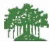 Veer Wajekar Arts Science and Commerce College - [VWASCC] logo