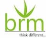Barrister Ranjit Mohanty International Institute of Technology - [BRMIIT] logo