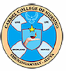 Carmel College of Nursing Chunangamvely logo
