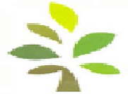 Jaya Suriya Engineering College Chennai