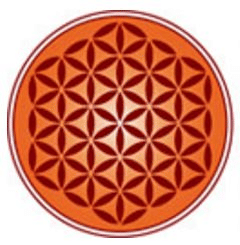 Vedica Scholars Programme for Women - [VSPW]