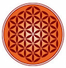 Vedica Scholars Programme for Women - [VSPW] logo