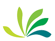 Bearys Institute of Technology Mangalore