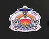 Post Graduate Institute of Behavioral and Medical Sciences - [PGIBMS] logo