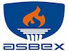 Agni School Of Business Excellence - [ASBEX] logo