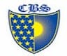 CBS Group of Institutions logo