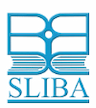 Som Lalit Institute of Business Administration - [SLIBA] logo