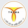 Truba Institute of Engineering and Information Technology - [TIEIT] logo