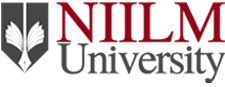 NIILM University
