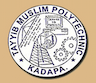 Tayyib Muslim Polytechnic College logo