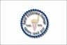 Sarat Centenary College logo