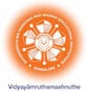 BNM Degree College logo