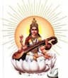 S.D.S.N Mahavidhalaya logo