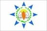 Shatayu College of Professional Studies -[SCPS] logo