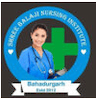 Shri Balaji Institute of Nursing logo