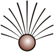 Institute of Hospitality and Management - [IHM] logo