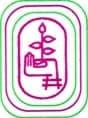 Smt KSN Kansagara College logo