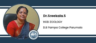 D.B Pampa College Parumala, Pathanamthitta, Head of Zoology Department: Dr. Sreekala S Interview