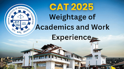Weightage of Academics and Work Experience in CAT 2025