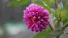 Yashodeep Mahurkar's profile photo