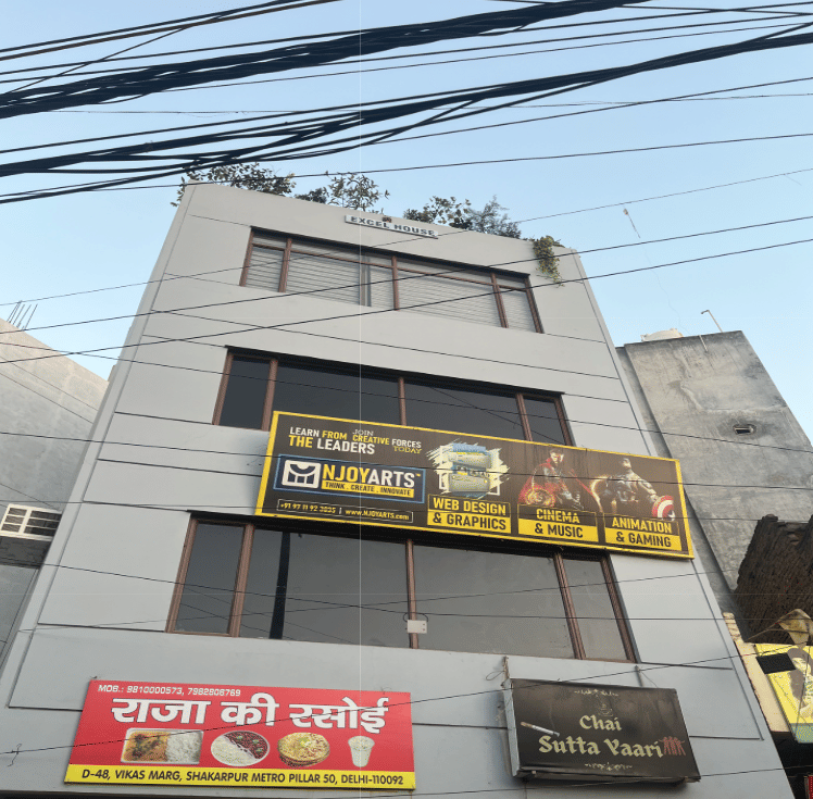 NJOY ARTS Laxmi Nagar