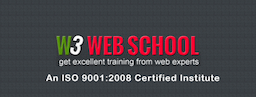 W3 web school