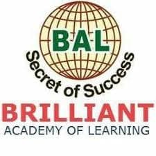 Brilliant Academy: Courses & Fees