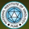 National Institute of Virology Pune