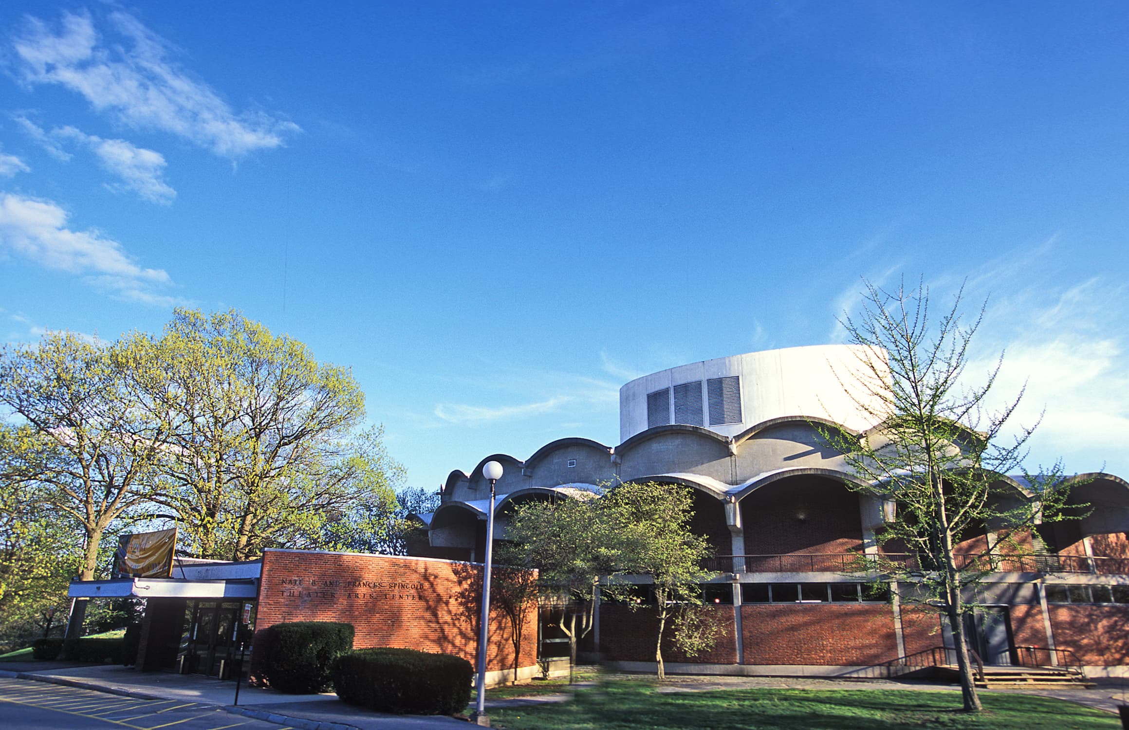 Brandeis University banner