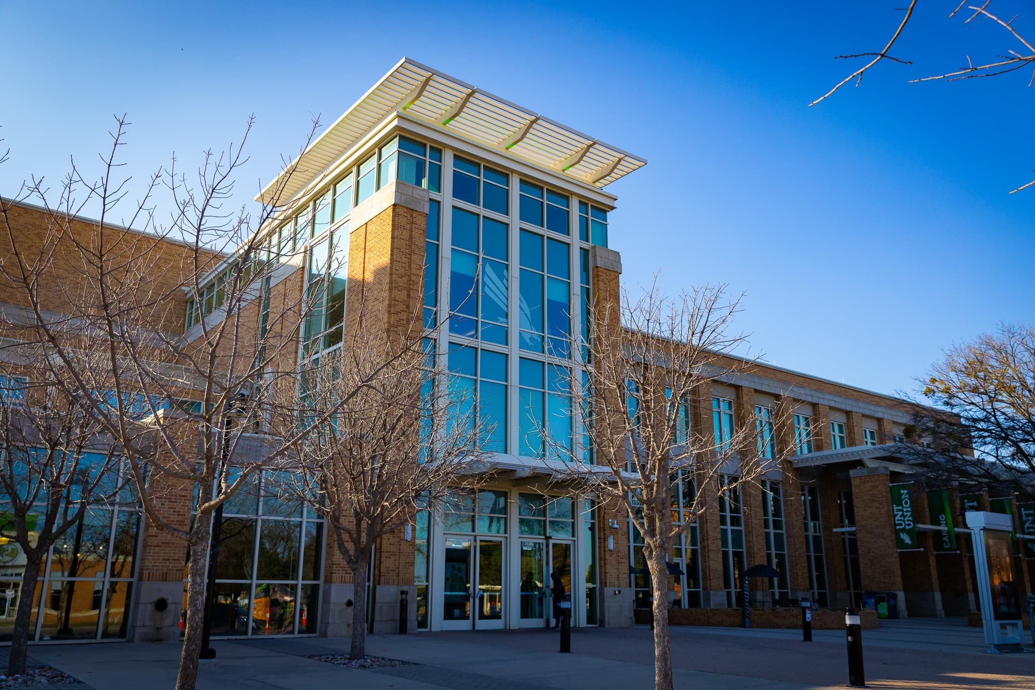 University of North Texas banner