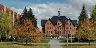Montana State University banner