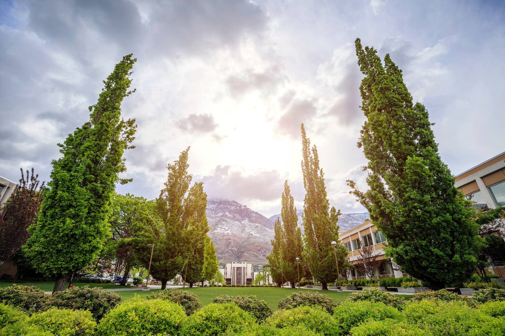 Brigham Young University banner