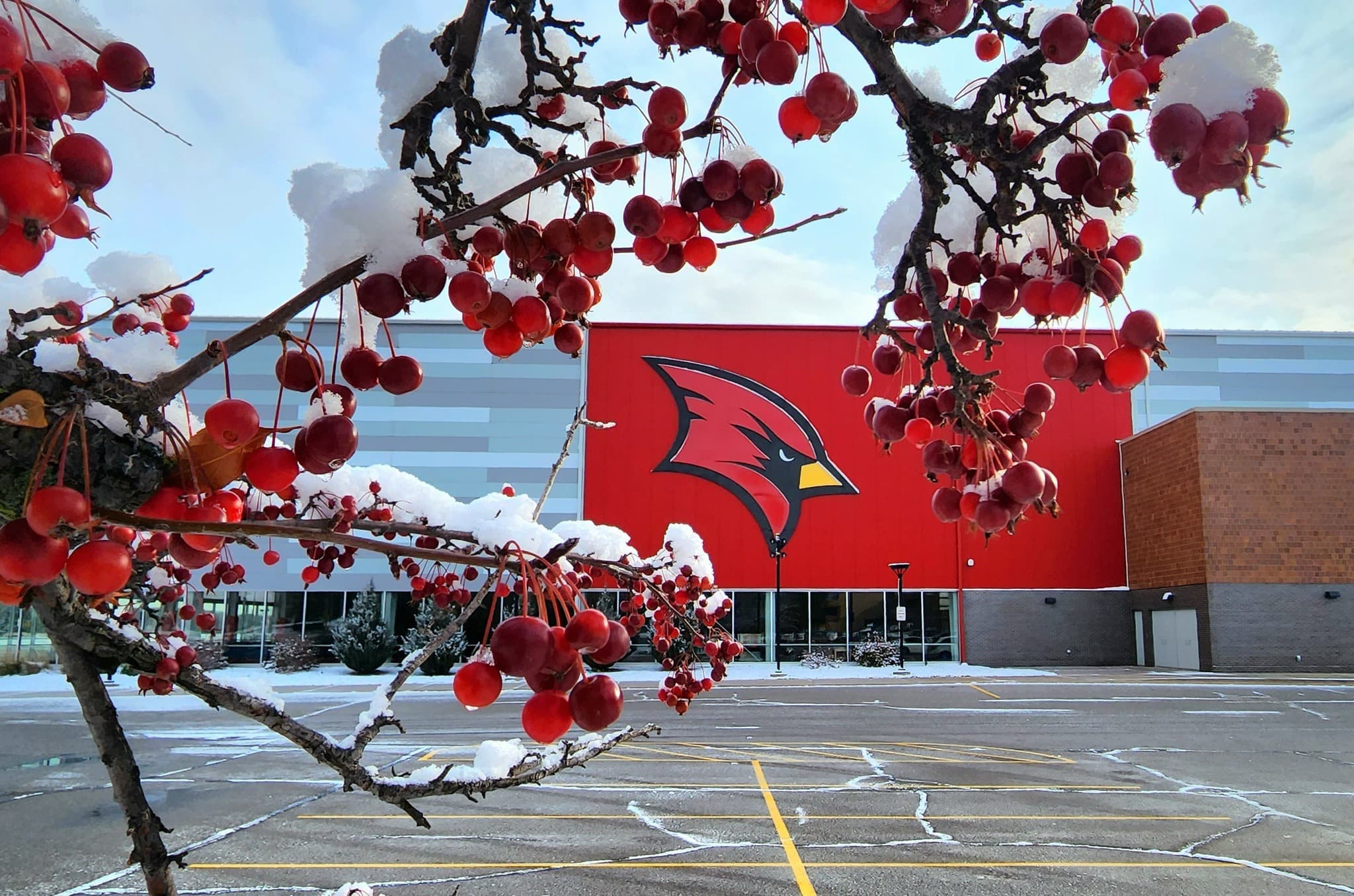 Saginaw Valley State University banner