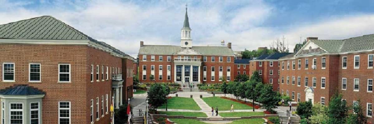 St. Thomas University banner