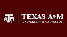 Texas A&M University logo Texas A&M University logo